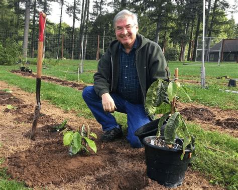 El árbol nativo transgénico de un científico que podría cambiar el