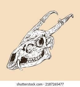 Muntjac Deer Skull Head Vector Illustration Stock Vector (Royalty Free ...