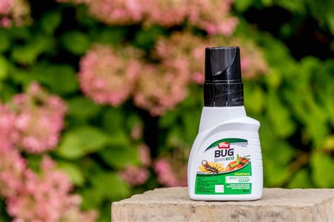 Ortho® Bug B Gon™ Eco Outdoor Insecticidal Soap Concentrate 500 Ml