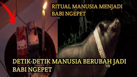 Detik Detik M Nus Berubah Jadi Babi Ngepet Youtube