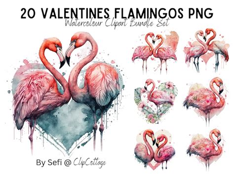 Valentines Flamingos Clipart Png Sublimation Bundle Etsy