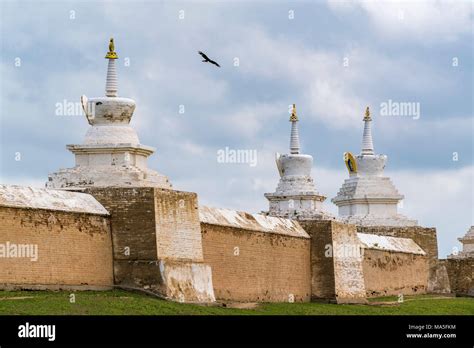 Mongolian Eagle Flying Above Erdene Zuu Monastery Harhorin Hi Res Stock