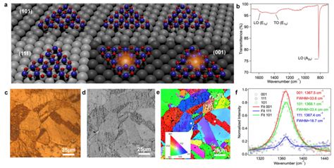 Cvd Growth Of Hbn On Polycrystalline Ni Foil A Schematic Illustration