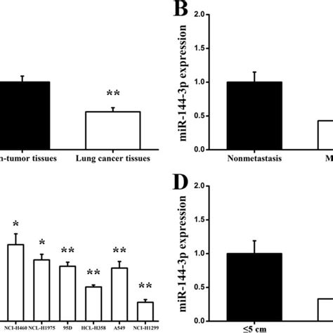 Expression Levels Of Mir P In Lung Cancer Tissues And Various Lung