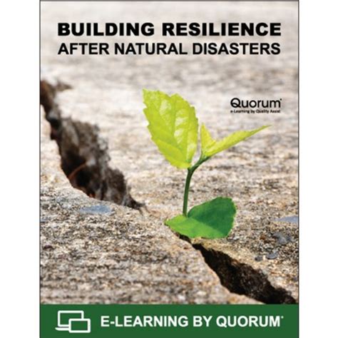 Building Resilience After Natural Disasters