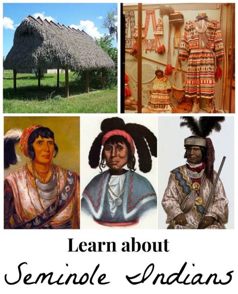 Learn about the Seminole Indians of Florida: Lessons for Kids