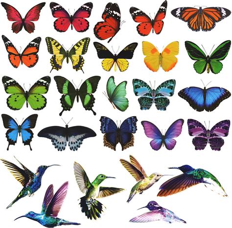 Hummingbird Butterfly Window Clings 26 Pieces Anti Collision Window