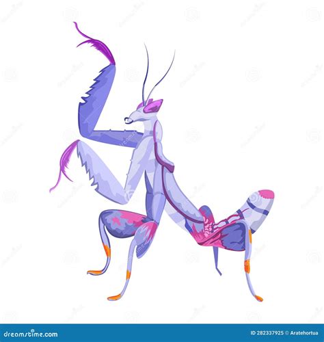 Vector Cartoon Orchid Mantis Character Isolated Illustration Stock