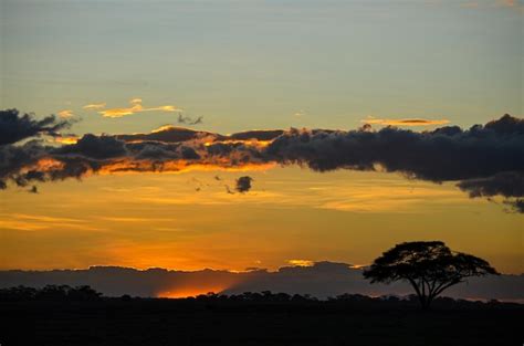 Premium Photo | Sunset in the savannah, amboseli, kenya, africa