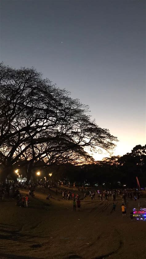 UP Diliman Sunken Garden University Of The Philippines Diliman