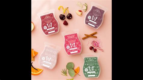 Scentsy Holiday Collection 2023 First Sniffs YouTube