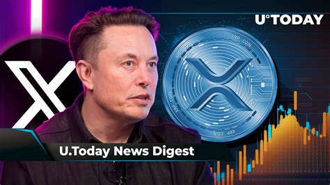 Xrp Reversal More Than Possible Elon Musk Says X Will Never