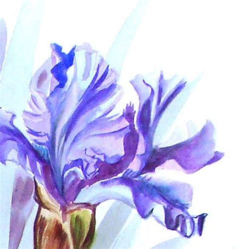 Iris Painting Flower Print Blue Iris Watercolor Painting | Etsy