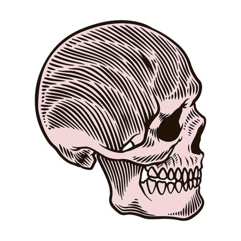 Premium Vector Skull Head Engraving Illustration Vector