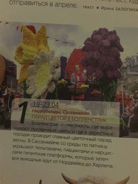 Голландия. Фест цветов | Цветы