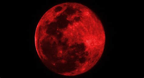 La sangre de lobo teñirá la superluna del 21 de enero