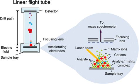 Schematic Representation Of Matrix Assisted Laser Desorption Ionisation Download Scientific