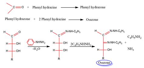 Osazone Formation Mechanism - Chemistry Notes