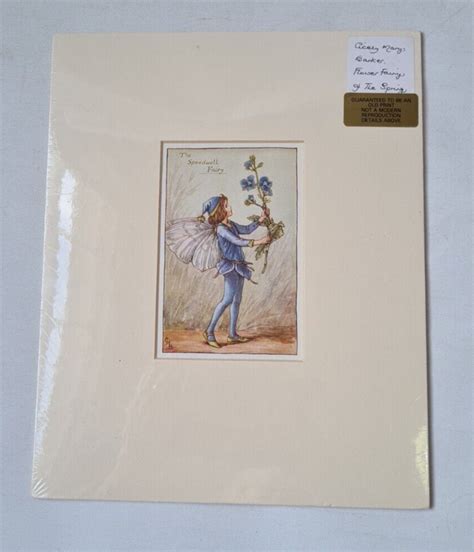 Vintage Flower Fairies Of The Spring Speedwell Fairy Print And Mount