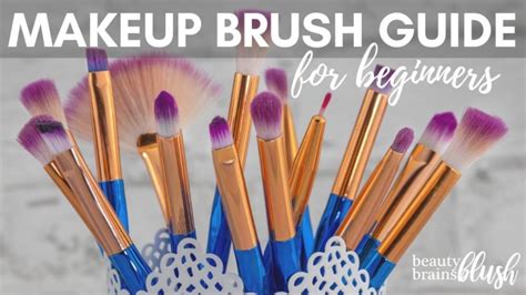 Ultimate Makeup Brush Guide for Beginners - BeautyBrainsBlush