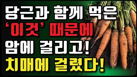 당근 1개만 먹어도 7개 먹은 효과 바로 이렇게 먹으면 됩니다 눈이 맑아지고 염증이 싹 사라집니다 Youtube