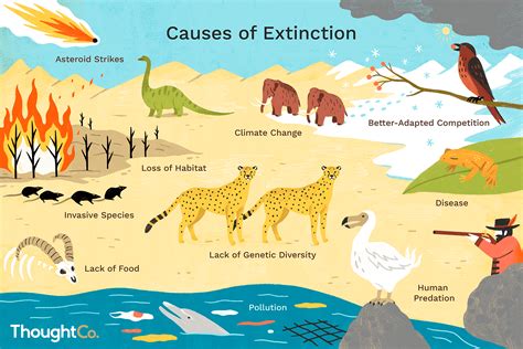 How Many Animals Are Going Extinct In 2024 Lolly Leanna