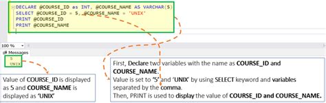 Sql Variables Sql Server Declare Set And Select Variable