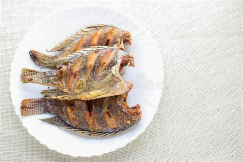 Deep Fried Tilapia Fish with Fish Sauce and Pepper Stock Image - Image of diet, cooking: 157617515