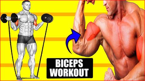 Best Exercises For Wider Biceps Biceps Workout Youtube