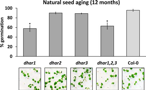 Identification Of Novel Seed Longevity Genes Related To Oxidative