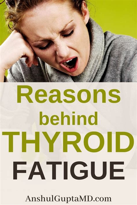 Low Thyroid Symptoms Artofit