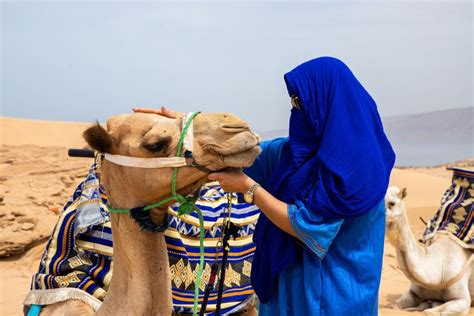 Agadir O Taghazout Paseo En Camello Por Las Dunas Del Desierto