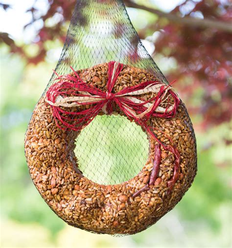 Bird Seed Wreath Recipe Darinelspeth