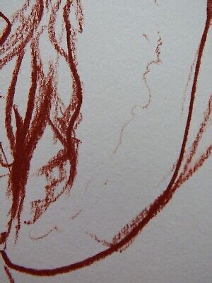 Hand Drawn Anatomical Sanguine Pencil Drawing Of A Female Vulva Vagina