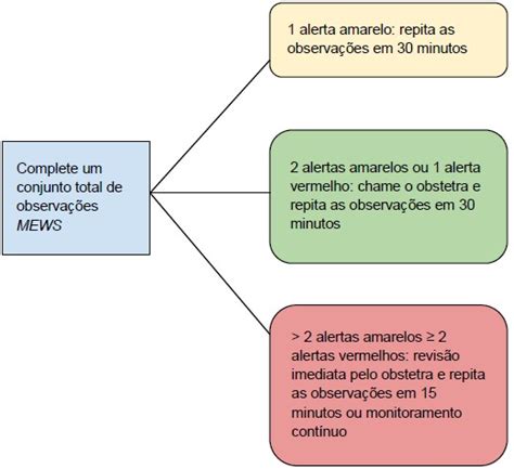 Escores De Alerta Precoce Materno Eapm Virtual Library