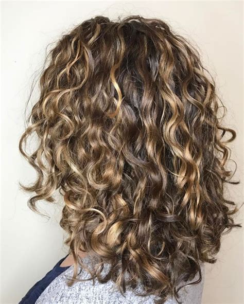 Curly Brown Hair With Dark Blonde Highlights Natural Curls Hairstyles