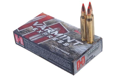 Hunting Bullet Basics How To Find The Perfect Projectile Northern Rifle