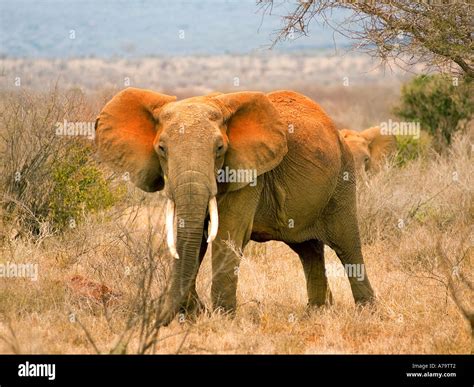 Biosphere Hauser Expedition Adventure Journe Hi Res Stock Photography