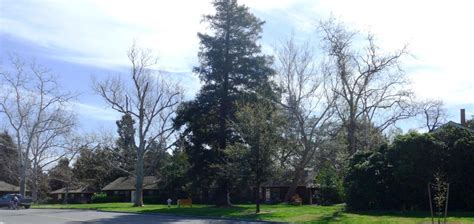 UC Davis Arboretum Headquarters