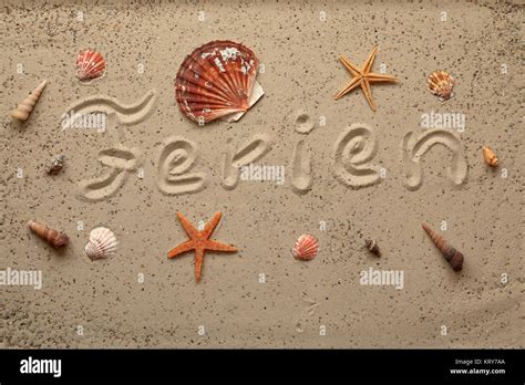 wallpaper with shells and starfish Stock Photo - Alamy