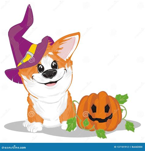 Corgi and halloween stock illustration. Illustration of favorite ...