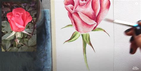 How To Draw A Realistic Rose Step By Step With Pencil