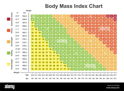 Tableau De Lindice De Masse Corporelle Imc Calculateur Dimc Pour Vérifier Votre Indice De