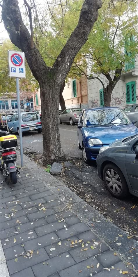 Messina Giro Di Vite Della Municipale Sulla Sosta Selvaggia Plauso