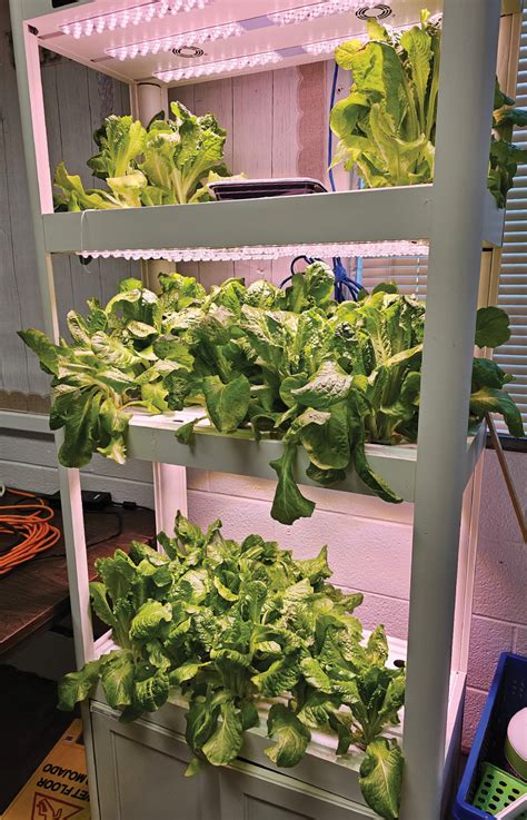 Hydroponics Project Opens Nc Students Eyes To The Farm To Fork