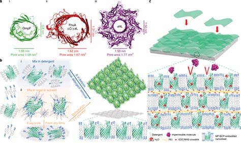 Rapid Fabrication Of Precise High Throughput Filters From Membrane