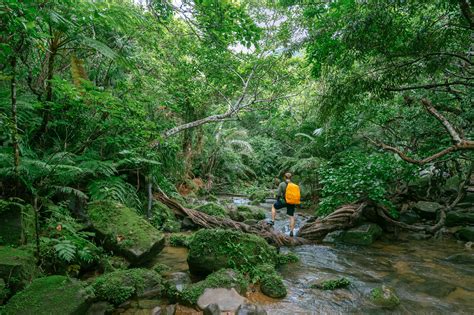 Iriomote Island Travel Guide — Sam Spicer Photography