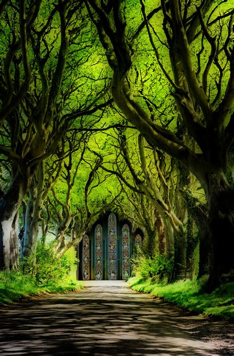 Sanctuary | “Sanctuary, on a personal level, is where we per… | Flickr