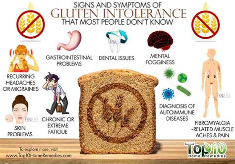 10 Síntomas De Una Alergia Al Gluten Personalitytipsonline