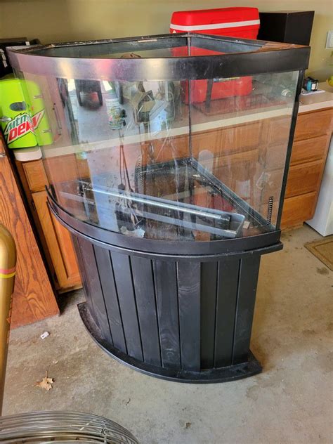 Gallon Corner Bow Front Fish Tank For Sale In Denton Tx Offerup